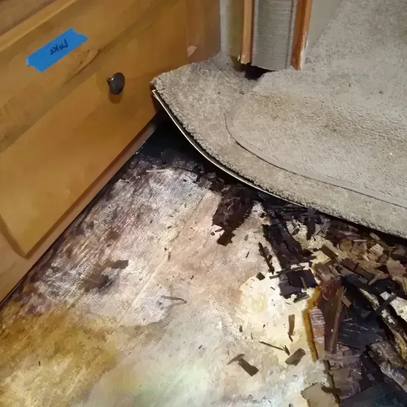 Wood Floor Water Damage in Kingston, NJ